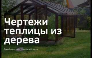 Теплица из дерева: чертежи с размерами и фото