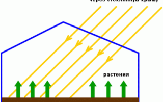 Отопление теплиц зимой