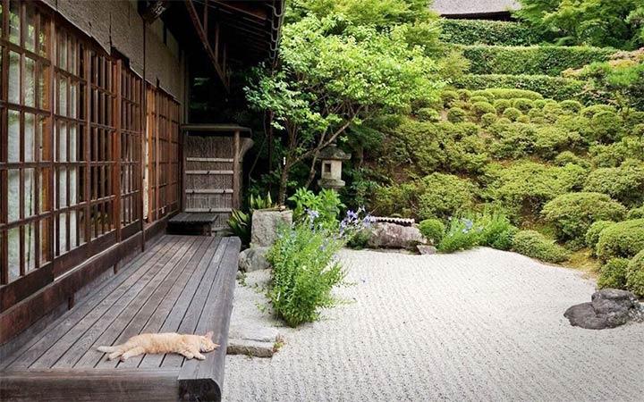 Придомовая территория