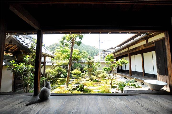 Японский сад