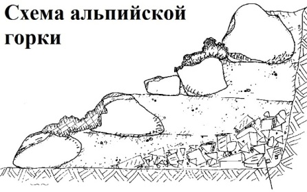 схема расположения камней и растений в альпийской горке