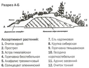 альпинарий своими руками в разрезе многие цветочные магазины предлагают как семена и рассаду растений, предназначенные специально для альпийских горок