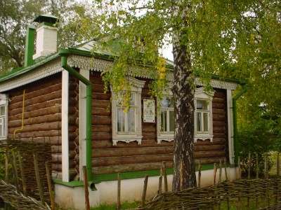 береза около дома