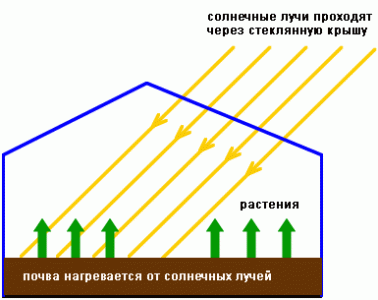естественный обогрев теплицы солнечными лучами