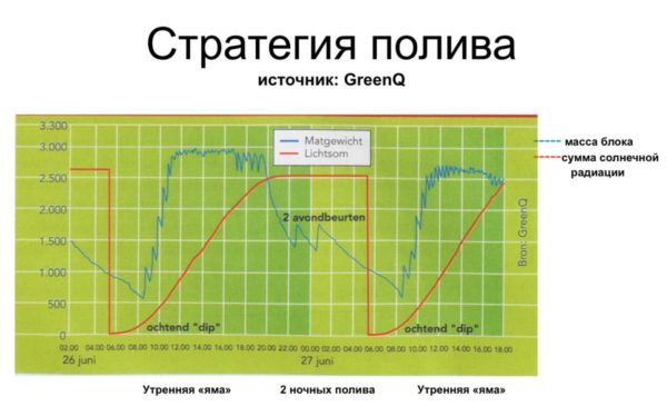 схема полива