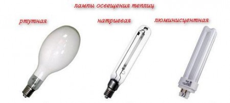 лампы для освещения теплиц