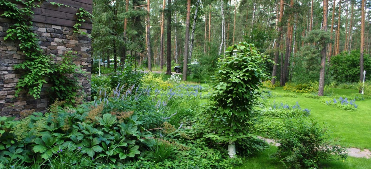 Лесной стиль